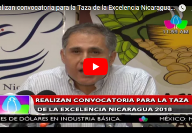 Realizan convocatoria para la Taza de la Excelencia Nicaragua 2018