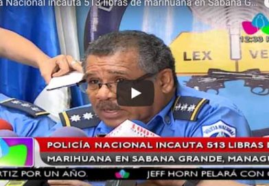 Policía Nacional incauta 513 libras de marihuana en Sabana Grande, Managua