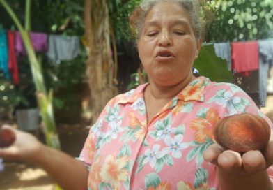 Patio saludable: El que siembra cosecha