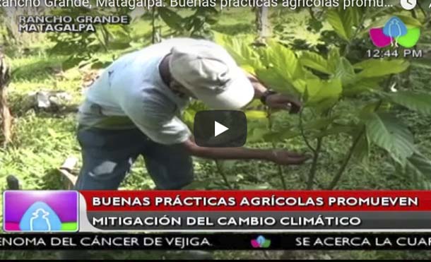 Rancho Grande, Matagalpa: Buenas prácticas agrícolas promueven mitigación del cambio climático