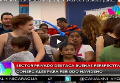 Sector privado destaca buenas perspectivas comerciales para período navideño