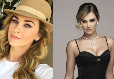 Aracely Arámbula desata la locura de sus fans al lucir sexy vestido sin ropa interior