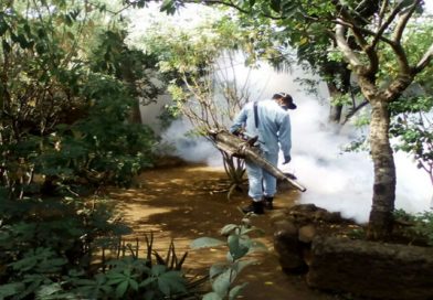 Fumigación y concientización en el barrio San Luis