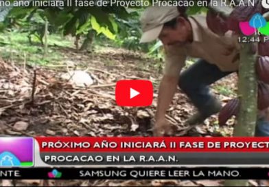 Próximo año iniciará II fase de Proyecto Procacao en la R.A.A.N