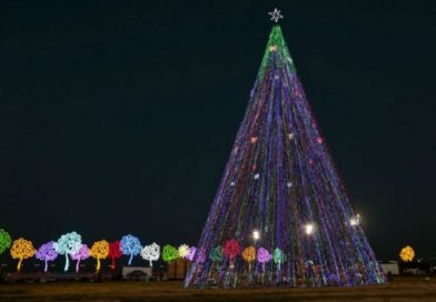El árbol de Navidad, símbolo de unidad familiar