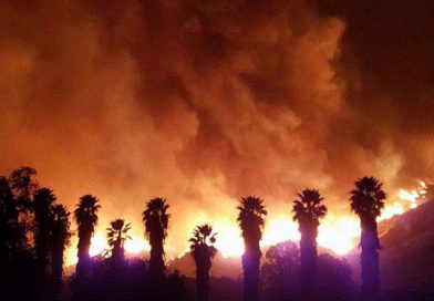 Trump declaró el estado de emergencia en California por los incendios