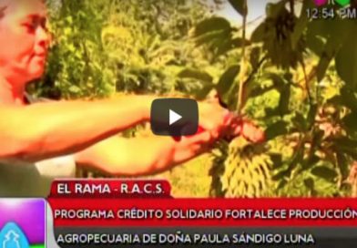 El Rama: Programa Crédito Solidario fortalece producción agropecuaria de doña Paula Sándigo Luna