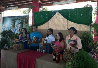 Visite este fin de semana la Feria Navideña de la Economía Familiar