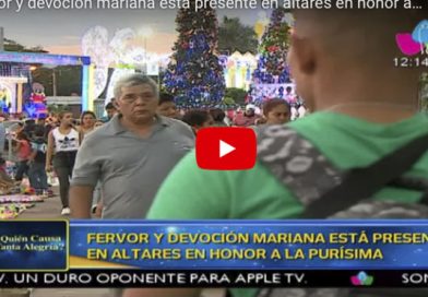 Fervor y devoción mariana está presente en altares en honor a la purísima