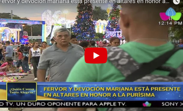 Fervor y devoción mariana está presente en altares en honor a la purísima