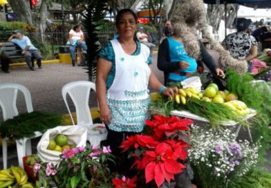 Matagalpa: Productos de la Purísima fueron ofrecidos en el "Festival de las Flores, Frutas y Dulces"