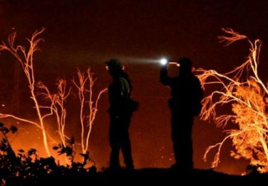 Controlan incendio en California que azotó más de 100 mil hectáreas
