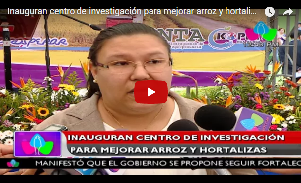 Inauguran centro de investigación para mejorar arroz y hortalizas