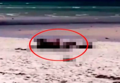 Pareja es captada teniendo relaciones en la playa a plena luz del día