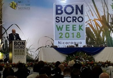Nicaragua espera alcanzar el 100% de calidad en la producción azucarera este año