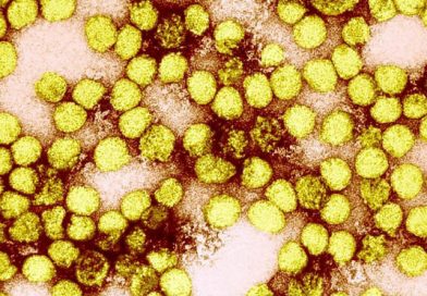 Dos especialistas en malaria de la OPS reforzarán vigilancia de esa enfermedad en Nicaragua