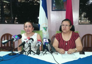 Color marrón en aguas del Pacífico norte, se debe a la concentración de pequeñas medusas