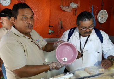 MINSA Y Commema decomisan más de cien libras de crema adulterada