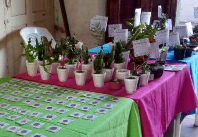 Chontales: Realizan exposición de colecciones en saludo al 139 Aniversario de Juigalpa