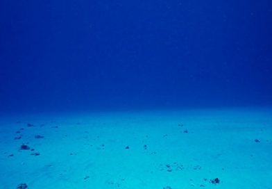Alarma científica: Esta es la razón por la que se está hundiendo el fondo del mar