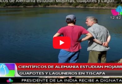 Científicos de Alemania estudian Mojorras, Guapotes y Laguneros en Tiscapa
