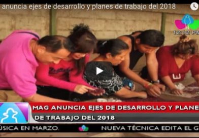 MAG anuncia ejes de desarrollo y planes de trabajo del 2018