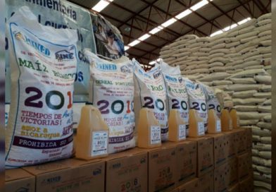 Alimentos saludables listos para el inicio del año escolar 2018