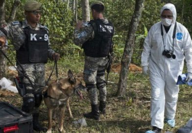 342 fosas clandestinas en Veracruz, México
