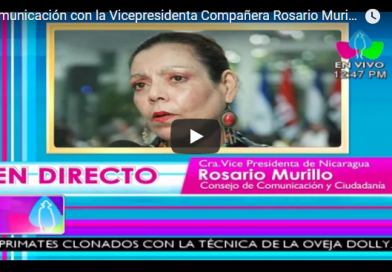 Comunicación con la Vicepresidenta Compañera Rosario Murillo, 29 de Enero 2018