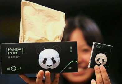 Sorprendente: Empresa china convierte los desechos del panda en toallitas húmedas