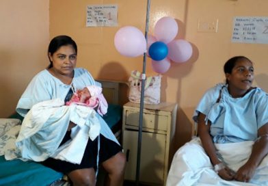 Los primero bebés 2018