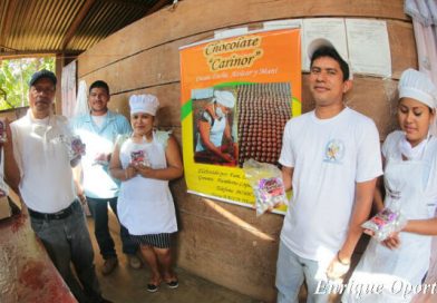 Producción de cacao avanza positivamente en El Caribe