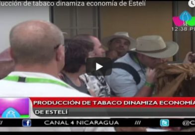 Estelí congrega a empresarios y apasionados del puro de 30 países