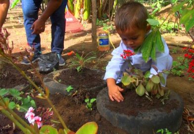 Cultivan el amor a la madre tierra en los ni&ntilde;os del municipio de Nindir&iacute;