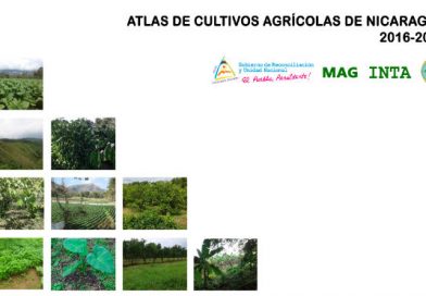 Instituciones del Gobierno dan a conocer Mapa Nacional de la Agricultura