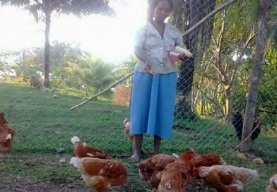 Gobierno Sandinista combate la pobreza en los territorios indígenas de Río Coco
