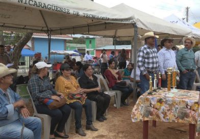 Realizan XIV feria ganadera en el municipio de El Jícaro, departamento de Nueva Segovia