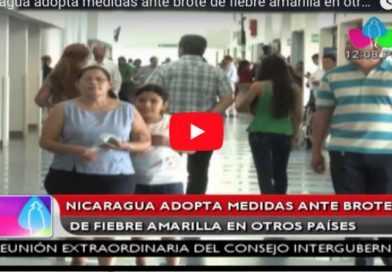 Nicaragua adopta medidas ante brote de fiebre amarilla en otros países