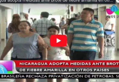 Nicaragua adopta medidas ante brote de fiebre amarilla en otros países