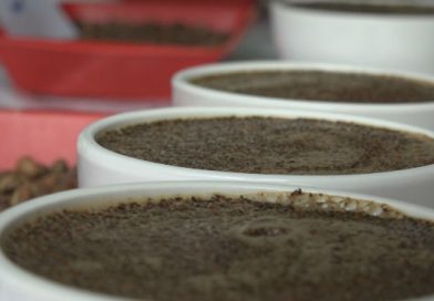 Desarrollan certamen de la taza de la excelencia en el municipio de El Jícaro