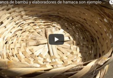 Artesanos de bambú y elaboradores de hamaca son ejemplo de emprendimiento en Niquinohomo