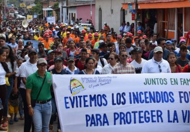 Realizan lanzamiento de campaña contra incendios forestales y agropecuarios en el departamento de Granada