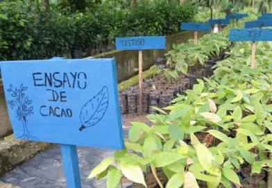 Inta inaugurará Centro de Desarrollo Tecnológico en El Rama