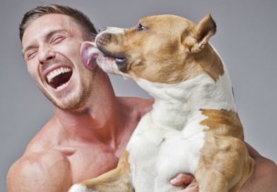 ¿Sabías que los perros también sienten las emociones humanas?