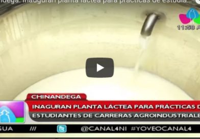Chinandega: Inauguran planta láctea para practicas de estudiantes de carreras agroindustriales