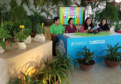 Anuncian primera Feria de Medicina Tradicional