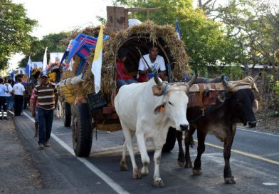 Carretas peregrinas de Granada inician su recorrido hacia el Santuario de Popoyuapa