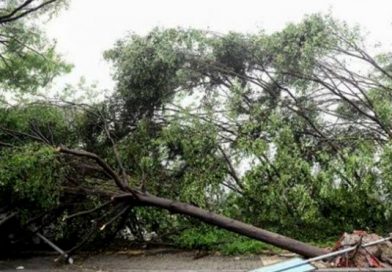 Al menos 20 muertos deja tormenta tropical en Madagascar