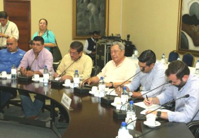 Porcicultores auguran un excelente a&ntilde;o con la ayuda del Buen Gobierno Sandinista