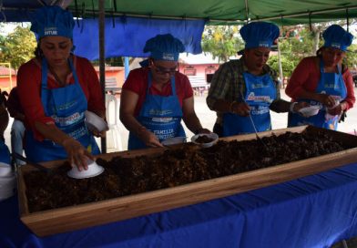 Diriá elabora y saborea el almíbar más grande de Granada